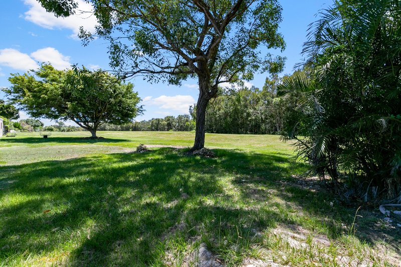 Photo - 56 Protea Dr , Bongaree QLD 4507 - Image 3