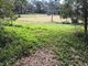 Photo - 56 Reserve Street, Pomona QLD 4568 - Image 6