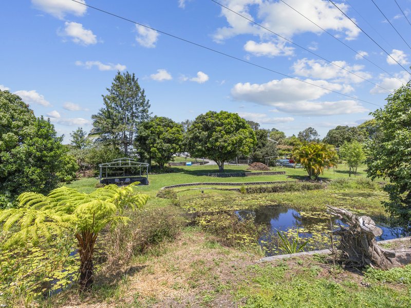 Photo - 56 Strawberry Road, Beerwah QLD 4519 - Image 12