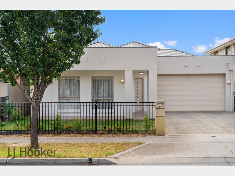 56 The Avenue, Athol Park SA 5012