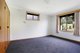 Photo - 56 Timboon-Curdievale Road, Timboon VIC 3268 - Image 5