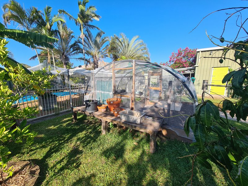 Photo - 56 Totness Street, Torquay QLD 4655 - Image 5