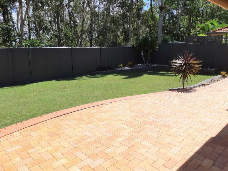 Photo - 56 Wattlebird Drive, Twin Waters QLD 4564 - Image 16