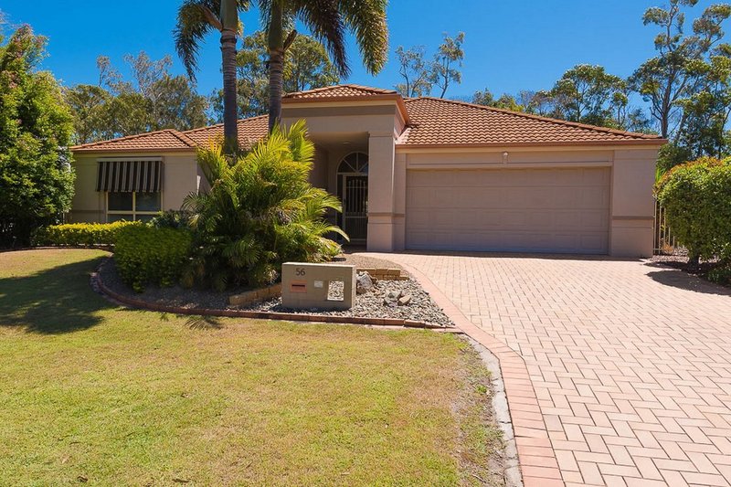 Photo - 56 Wattlebird Drive, Twin Waters QLD 4564 - Image 3