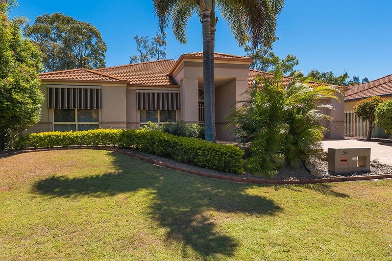 Photo - 56 Wattlebird Drive, Twin Waters QLD 4564 - Image 7