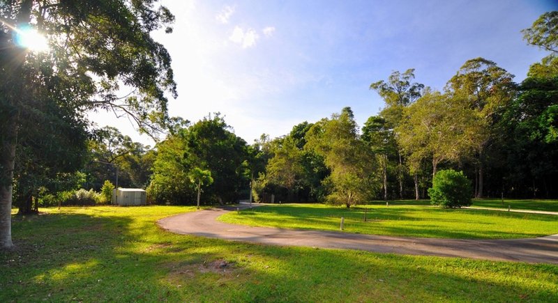 Photo - 56 William Smith Drive, Speewah QLD 4881 - Image 3