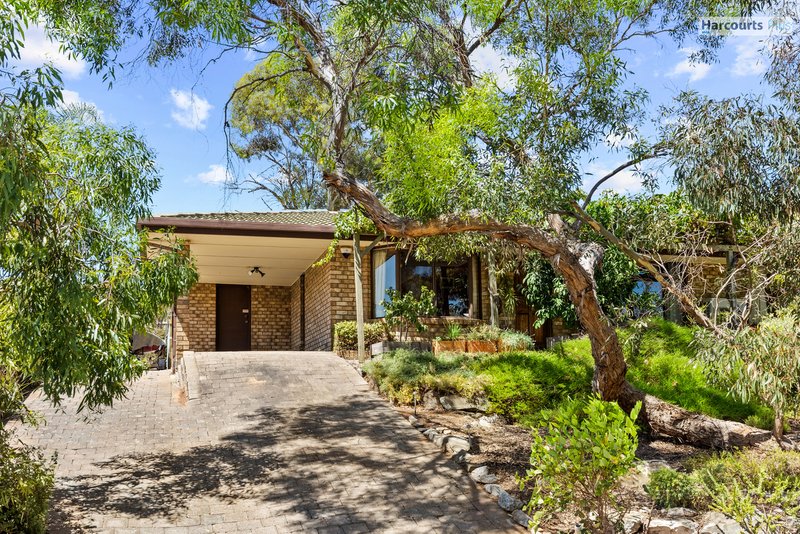 56 Zwerner Drive, Hallett Cove SA 5158