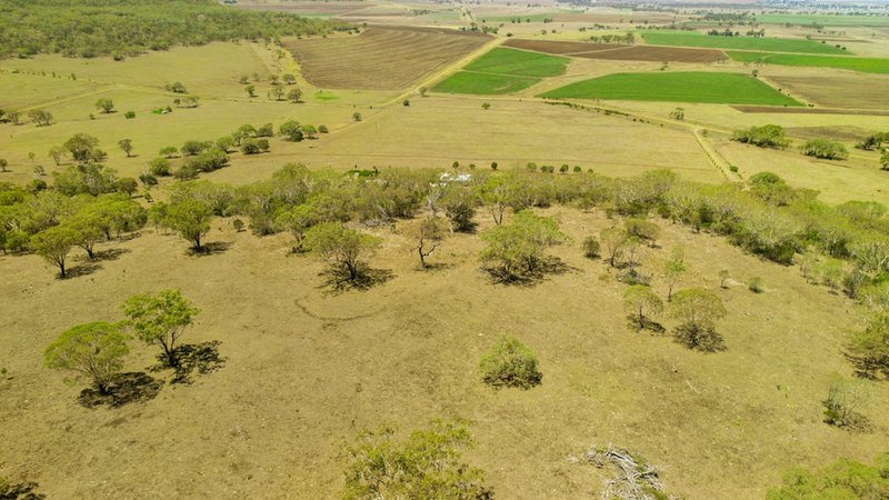 Photo - 560 Mt Kent Boundary Road, Nobby QLD 4360 - Image 13