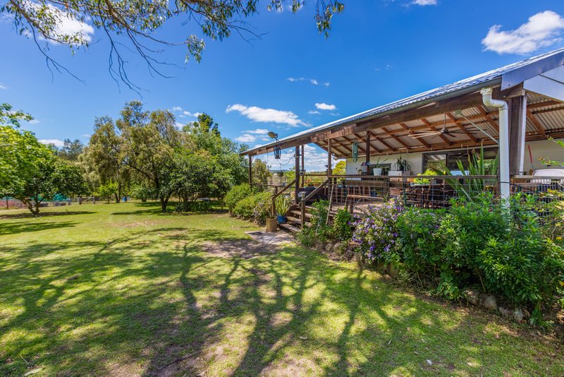 Photo - 560 Webbers Creek Road, Paterson NSW 2421 - Image 19