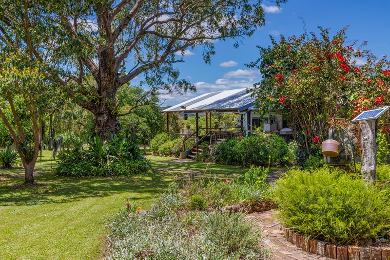 Photo - 560 Webbers Creek Road, Paterson NSW 2421 - Image 21