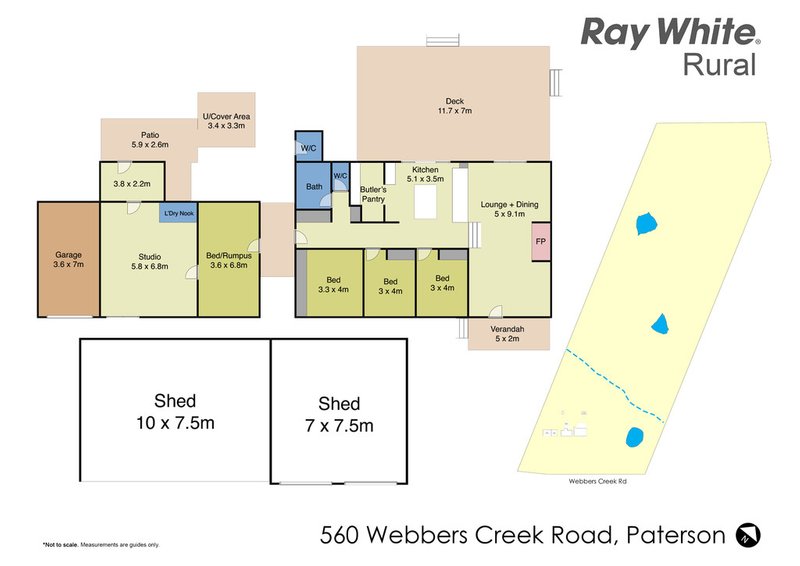 Photo - 560 Webbers Creek Road, Paterson NSW 2421 - Image 24