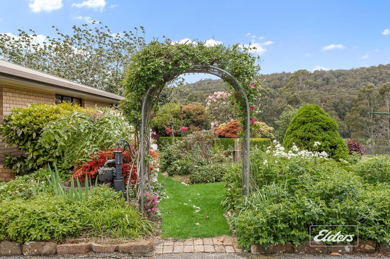 Photo - 561 Holwell Road, Beaconsfield TAS 7270 - Image 15
