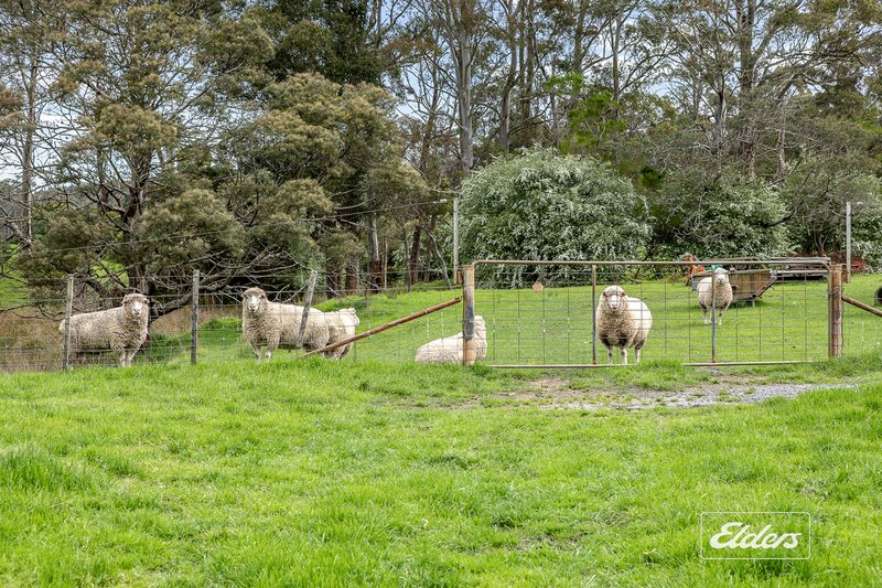 Photo - 561 Holwell Road, Beaconsfield TAS 7270 - Image 22