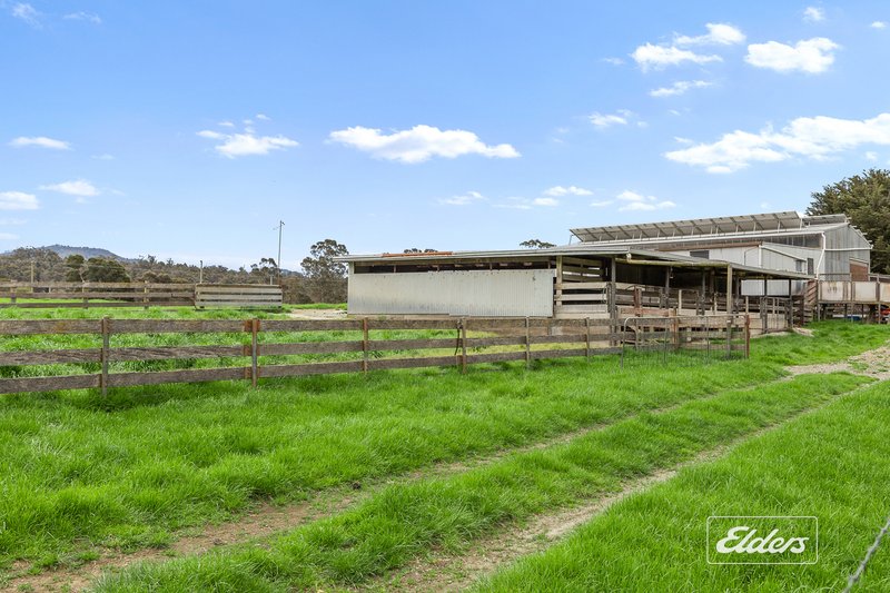 Photo - 561 Holwell Road, Beaconsfield TAS 7270 - Image 23