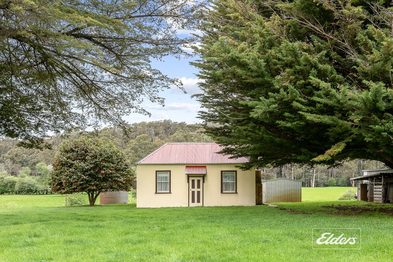 Photo - 561 Holwell Road, Beaconsfield TAS 7270 - Image 24