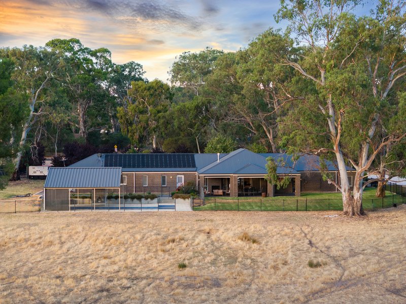 Photo - 562 Balmoral Road, Cockatoo Valley SA 5351 - Image 28