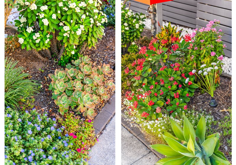 Photo - 56/26 Andrew Road, Greenbank QLD 4124 - Image 17