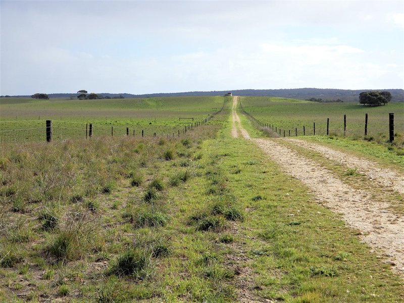 Photo - 565 Gordon Road, Meningie East SA 5264 - Image 7