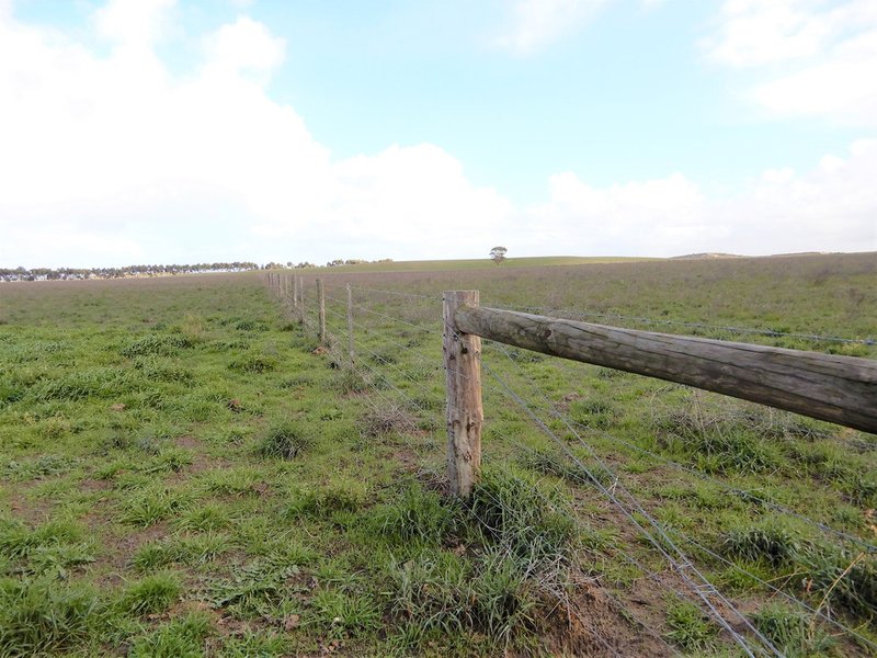 Photo - 565 Gordon Road, Meningie East SA 5264 - Image 9