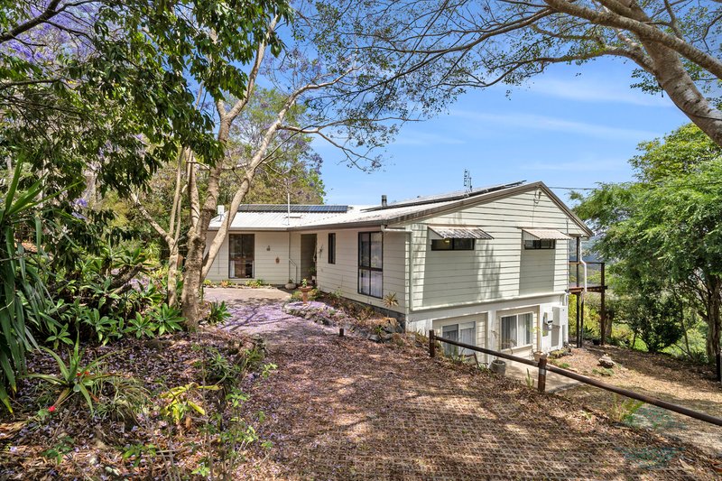 Photo - 565 Maleny - Kenilworth Road, Witta QLD 4552 - Image 14