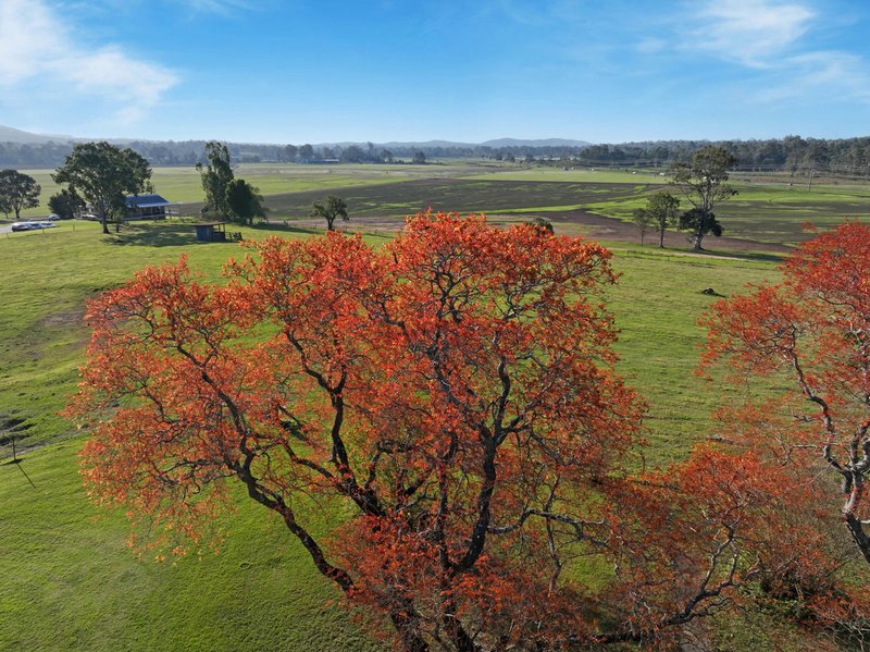 Photo - 565 Mundoolun Connection Road, Boyland QLD 4275 - Image 7