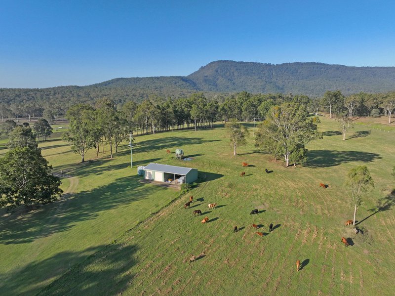 Photo - 565 Mundoolun Connection Road, Boyland QLD 4275 - Image 8