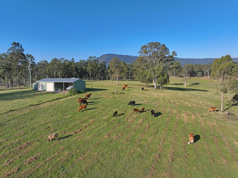 Photo - 565 Mundoolun Connection Road, Boyland QLD 4275 - Image 9