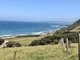 Photo - 5650 Great Ocean Road, Apollo Bay VIC 3233 - Image 12