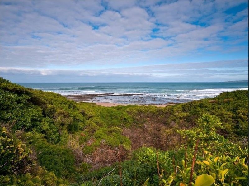 Photo - 5650 Great Ocean Road, Apollo Bay VIC 3233 - Image 17