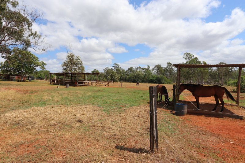 Photo - 566 Hanschens Road, Jardine QLD 4702 - Image 15