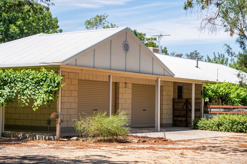 Photo - 566 Stoney Park Road, Burrumbuttock NSW 2642 - Image 7