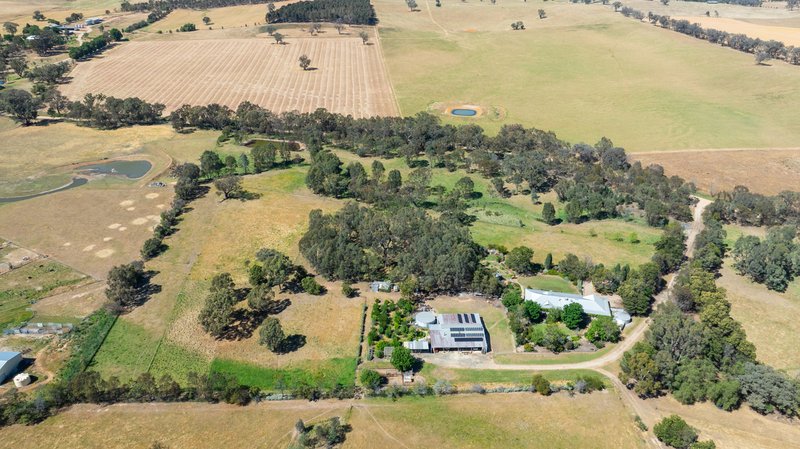 Photo - 566 Stoney Park Road, Burrumbuttock NSW 2642 - Image 29