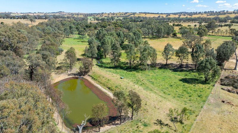 Photo - 566 Stoney Park Road, Burrumbuttock NSW 2642 - Image 31