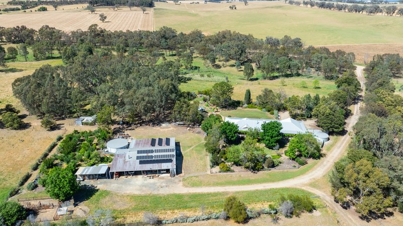 Photo - 566 Stoney Park Road, Burrumbuttock NSW 2642 - Image 34