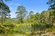 Photo - 566 Upper Pinbarren Creek Road, Kin Kin QLD 4571 - Image 10