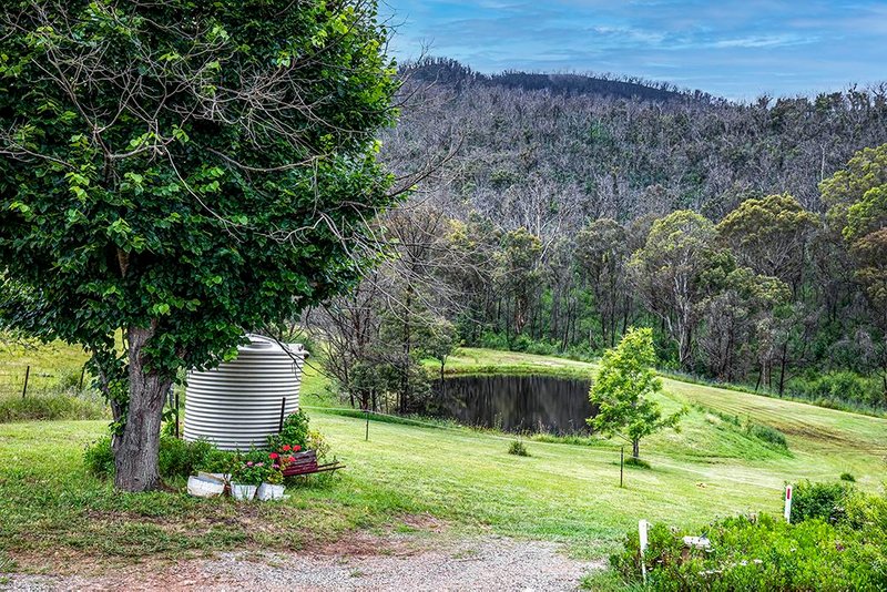 Photo - 5660 Araluen Road, Braidwood NSW 2622 - Image 5