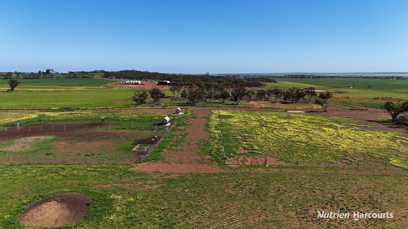 Photo - 5670 Soldiers Road, West Holleton WA 6369 - Image 22