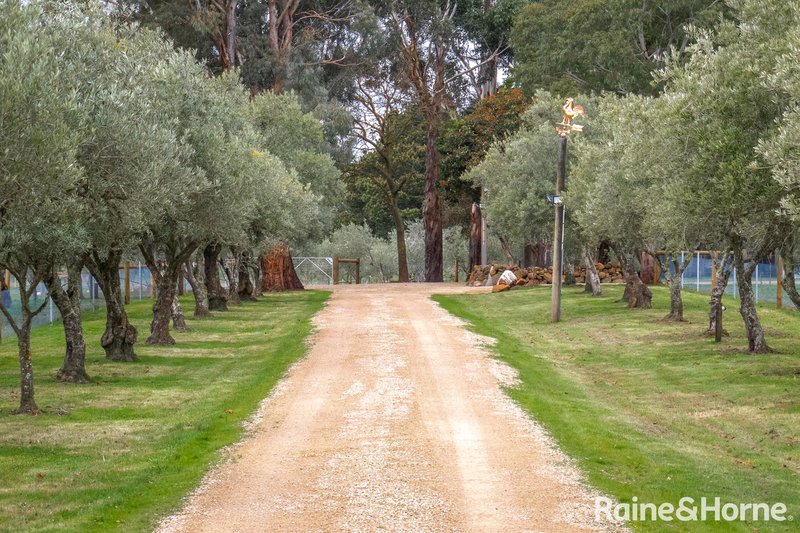 Photo - 568 Chanters Lane, Tylden VIC 3444 - Image 4