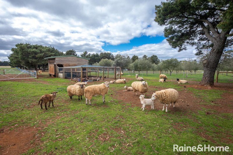Photo - 568 Chanters Lane, Tylden VIC 3444 - Image 15