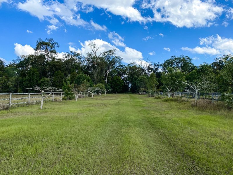 Photo - 569 Bells Creek Road, Bells Creek QLD 4551 - Image 2