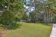 Photo - 56A Chevallum Road, Palmwoods QLD 4555 - Image 3