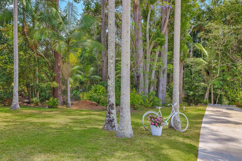 Photo - 56A Chevallum Road, Palmwoods QLD 4555 - Image 6