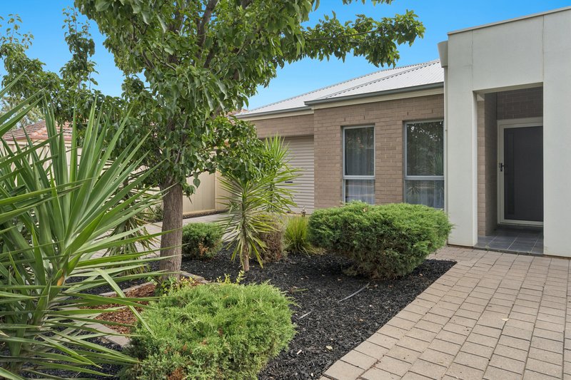 Photo - 56A York Avenue, Clovelly Park SA 5042 - Image 1