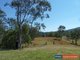 Photo - 57-65 Davis Road, Kyogle NSW 2474 - Image 20