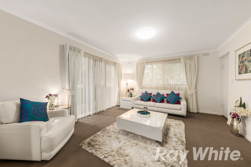 Photo - 5/7-9 John Street, Box Hill VIC 3128 - Image 3