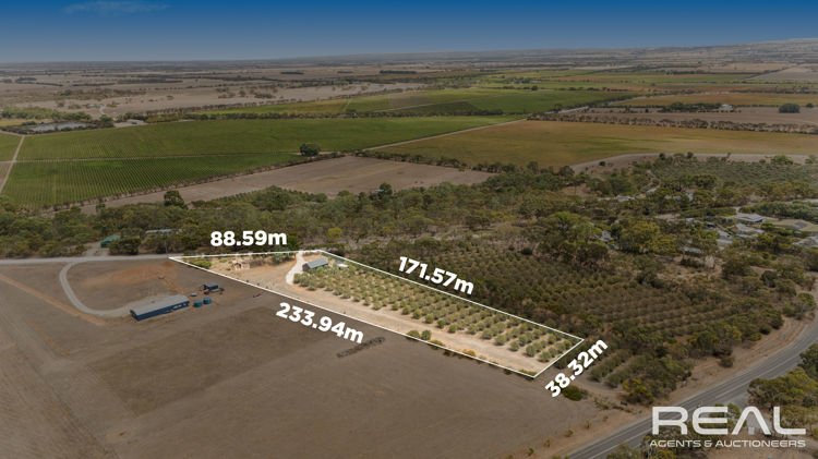 Photo - 57 Angas Plains Road, Belvidere SA 5255 - Image 1