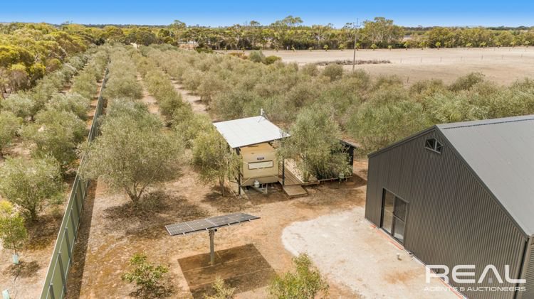 Photo - 57 Angas Plains Road, Belvidere SA 5255 - Image 14