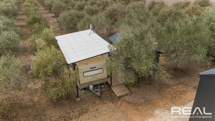 Photo - 57 Angas Plains Road, Belvidere SA 5255 - Image 15