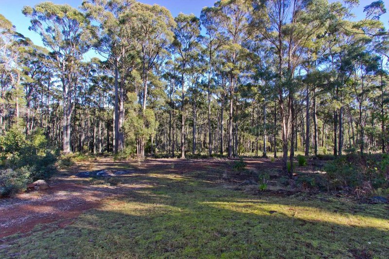 Photo - 57 Austins Road, Turners Marsh TAS 7267 - Image 20