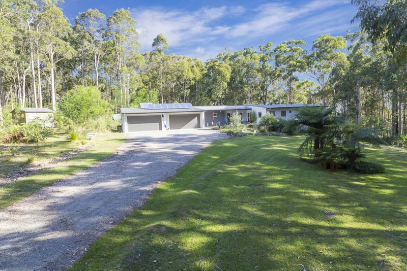 Photo - 57 Barrakee Drive, Long Beach NSW 2536 - Image 7